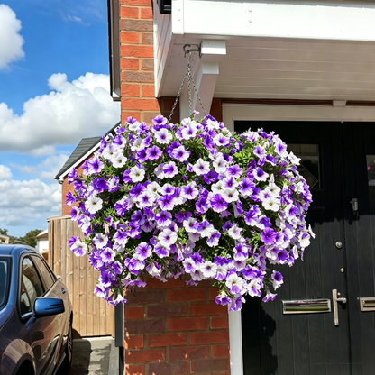 Last Day 60% OFF💥UV Resistant Artificial Petunias Flowers