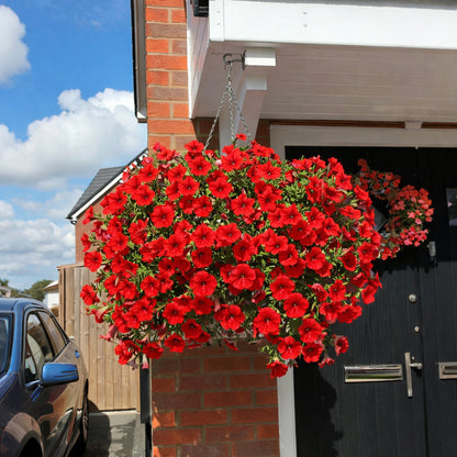 Last Day 60% OFF💥UV Resistant Artificial Petunias Flowers