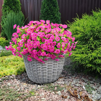 Last Day 60% OFF💥UV Resistant Artificial Petunias Flowers